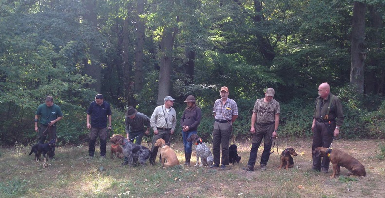 Leistungsgruppe Jagdhunde