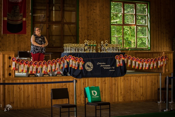 DRV Ausstellung am 01.03.2020